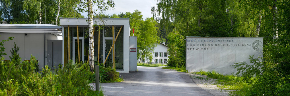 Gebäude und Wand mit Beschriftung an einer schmalen Straße, Gebäude und Bäume im Hintergrund