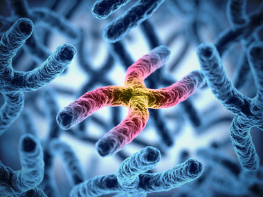 Telomere attrition: Metabolic regulation and signaling function?