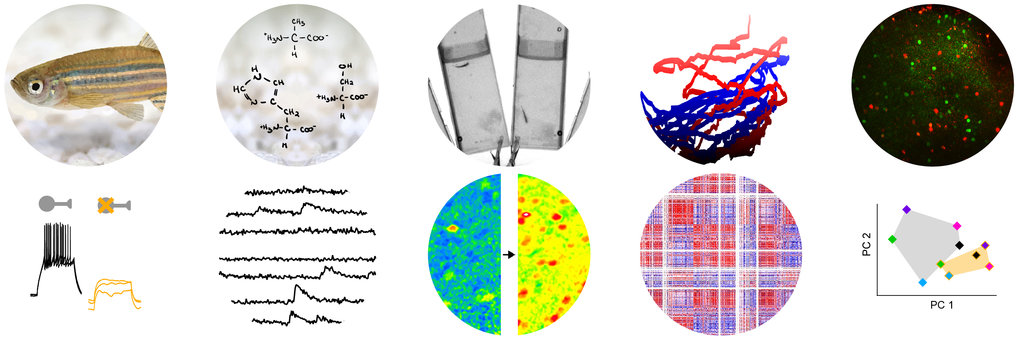 Research Group Olfactory Memory