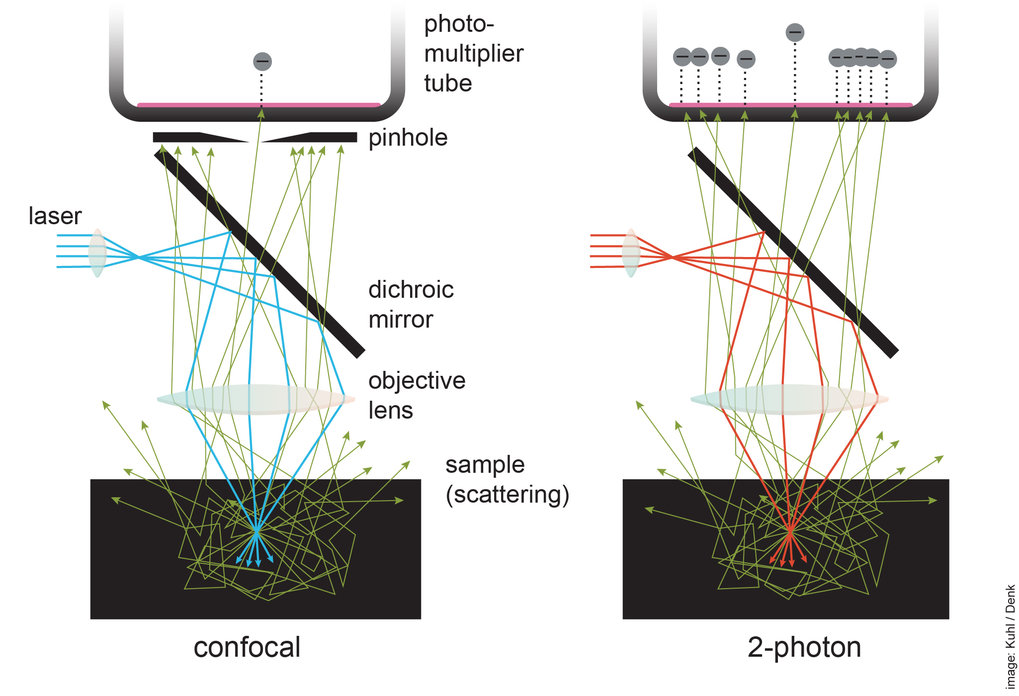 Photon 2 2025