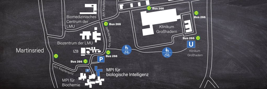 Lageplan Max-Planck-Institute am Campus Martinsried