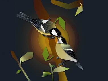 Illustration featuring two great tits on a branch.