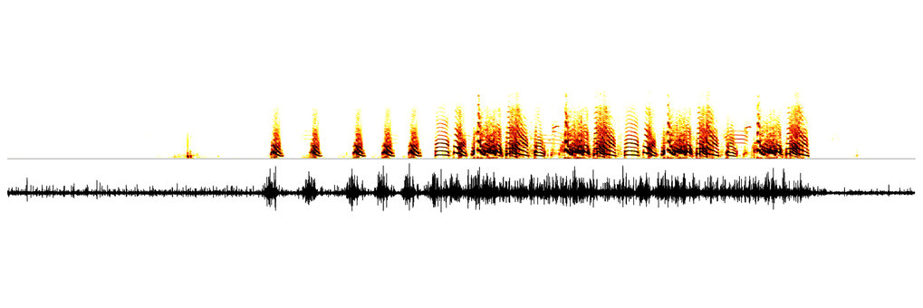 Neural Mechanisms of Natural Behavior