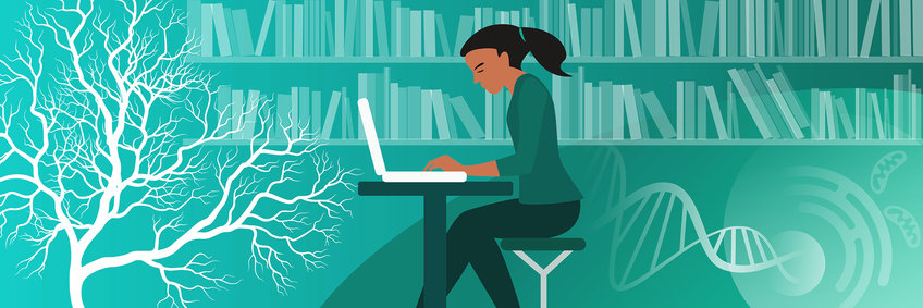 Library Drawing of a person sitting at a computer in front of a large bookcase.