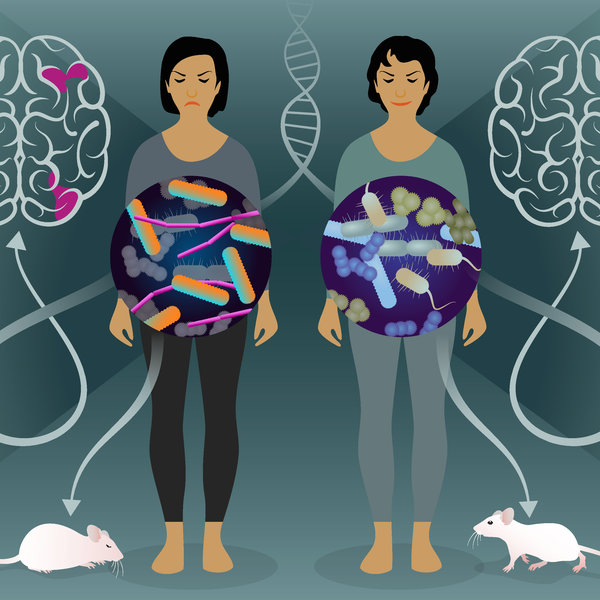 Illustration of a pair of twins. In front of each twin is a circle with a drawing of bacteria, a representation of a brain, and a mouse. The person on the right looks happy, the bacteria are bluish, and the mouse is running with its eyes open. The person on the left looks unhappy, the bacteria are more pink in color. There are pink spots in the brain, and the mouse is lying down with its eyes closed.